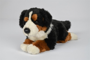 Plüsch Berner Sennenhund lieg. 30cm